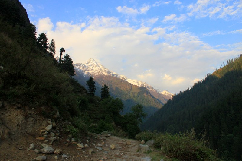 The lady and her granddaughter — they tied a coloured piece of clothing near the tree for good luck